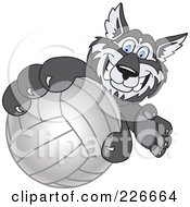 Poster, Art Print Of Husky School Mascot Grabbing A Volleyball