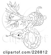 Poster, Art Print Of Coloring Page Outline Of A Snake In A Tree