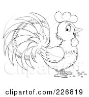 Poster, Art Print Of Coloring Page Outline Of A Cute Rooster