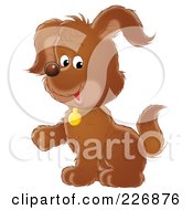Poster, Art Print Of Cute Puppy Lifting A Paw