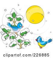 Poster, Art Print Of Blue Birds Playing On A Sunny Winter Day