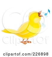 Poster, Art Print Of Cute Yellow Whistling Bird