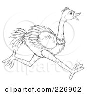 Royalty Free RF Clipart Illustration Of A Coloring Page Outline Of A Running Ostrich by Alex Bannykh