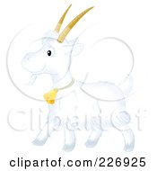 Poster, Art Print Of Cute White Goat