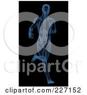 Royalty Free RF Clipart Illustration Of A 3d Blue Skeleton Running