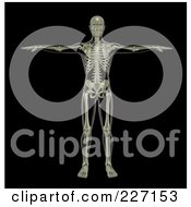Royalty Free RF Clipart Illustration Of A 3d Skeleton Standing And Holding The Arms Up