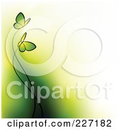 Poster, Art Print Of Background Of Two Green Butterflies And Gradient Green To White
