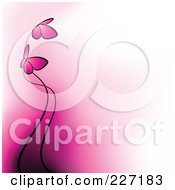 Poster, Art Print Of Background Of Two Pink Butterflies And Gradient Pink To White