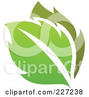 Royalty Free RF Clipart Illustration Of A Green Leaf Logo Icon 3