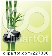 White Frangipani Flower Over A Spa Stone And Bamboo On Green
