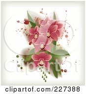 Poster, Art Print Of Pink Striped Orchids With Grungy Splatters Leaves And Drops