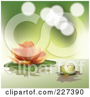 Pastel Orange Lotus And Lily Pad With A Green Tea Light Candle On Green