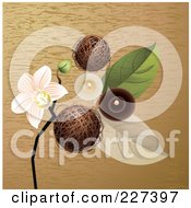 Spa Background Of Decorative Balls An Orchid Leaves And Candles On Wood Grain