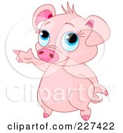 Royalty Free RF Clipart Illustration Of A Cute Blue Eyed Pig Standing And Pointing by Pushkin