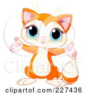 Poster, Art Print Of Cute Orange Kitten Holding Out His Arms