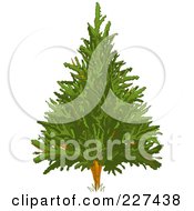 Royalty Free RF Clipart Illustration Of An Evergreen Christmas Tree by Pushkin