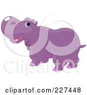 Poster, Art Print Of Cute Purple Hippo Looking Back