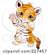 Royalty Free RF Clipart Illustration Of A Cute Baby Tiger Sitting Up And Gesturing Playfully With His Paws by Pushkin