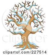 Royalty Free RF Clipart Illustration Of Snow On A Bare Tree