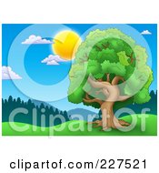 Royalty Free RF Clipart Illustration Of A Leafy Tree With A Green Canopy Of Foliage In A Hilly Landscape With A Forest
