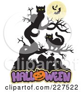 Royalty Free RF Clipart Illustration Of Cats In A Tree Over Halloween Text