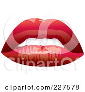 Royalty Free RF Clipart Illustration Of A Pair Of Red Lips 1 by YUHAIZAN YUNUS