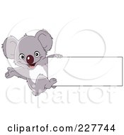 Poster, Art Print Of Cute Baby Koala Hanging Off The Edge Of A Blank Sign