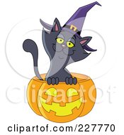 Poster, Art Print Of Happy Black Cat Wearing A Witch Hat And Emerging From A Jackolantern