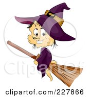 Poster, Art Print Of Warty Witch Flying On A Broomstick