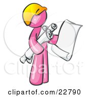 Poster, Art Print Of Pink Man Contractor Or Architect Holding Rolled Blueprints And Designs And Wearing A Hardhat