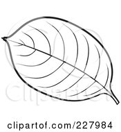 Royalty Free RF Clipart Illustration Of A Coloring Page Outline Of A Leaf