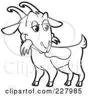 Poster, Art Print Of Coloring Page Outline Of A Goat