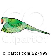 Poster, Art Print Of Green Parrot Flying