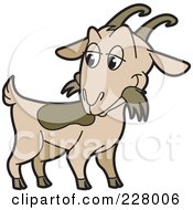 Poster, Art Print Of Goat