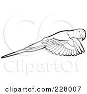 Poster, Art Print Of Coloring Page Outline Of A Parrot Flying