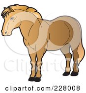 Poster, Art Print Of Strong Horse