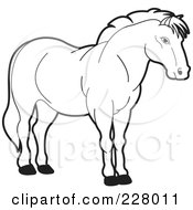 Poster, Art Print Of Coloring Page Outline Of A Strong Horse