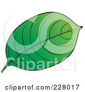 Poster, Art Print Of Green Leaf