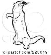 Poster, Art Print Of Coloring Page Outline Of A Standing Mongoose