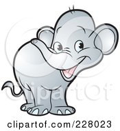 Poster, Art Print Of Cute Little Elephant