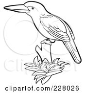 Poster, Art Print Of Coloring Page Outline Of A Perched Kingfisher Bird