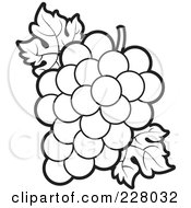 Poster, Art Print Of Coloring Page Outline Of A Bunch Of Grapes And Leaves