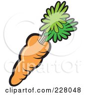 Royalty Free RF Clipart Illustration Of An Organic Orange Carrot by Lal Perera