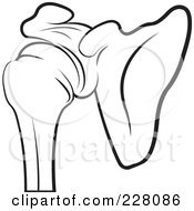 Royalty Free RF Clipart Illustration Of A Coloring Page Outline Of A Shoulder Joint