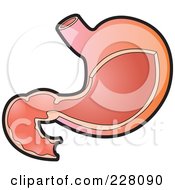 Royalty Free RF Clipart Illustration Of A Stomach by Lal Perera