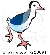 Royalty Free RF Clipart Illustration Of A Baby Water Hen 2