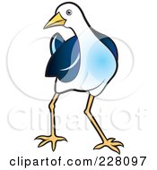 Royalty Free RF Clipart Illustration Of A Blue Water Hen 5