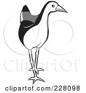 Royalty Free RF Clipart Illustration Of A Black And White Water Hen 4
