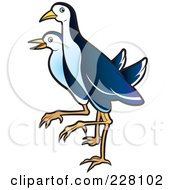 Royalty Free RF Clipart Illustration Of A Water Hen 10