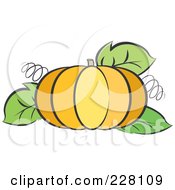 Poster, Art Print Of Pumpkin With Tendrils And Leaves